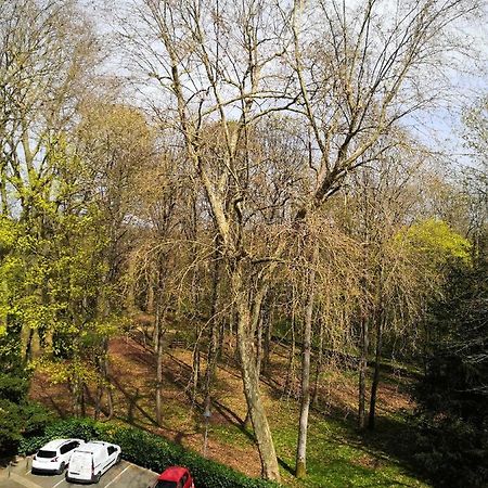 Boussy-Saint-Antoine Chambre D'Hote Au Parc Des Thibaudieres מראה חיצוני תמונה